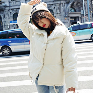 Korean Style 2019 Winter Jacket Women - bermansbargains