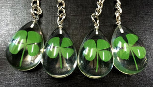 Free Shipping 10 keychain real four leaf clover - bermansbargains